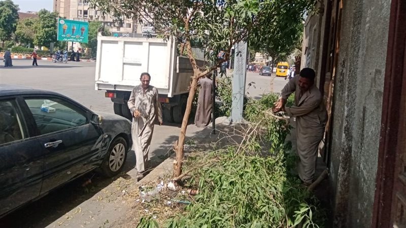 قطع الأشجار من الشوارع،فيتو