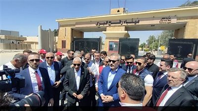 تمهيدا للقمة بين السيسي وأردوغان، وزير خارجية تركيا يجري مباحثات فى مصر