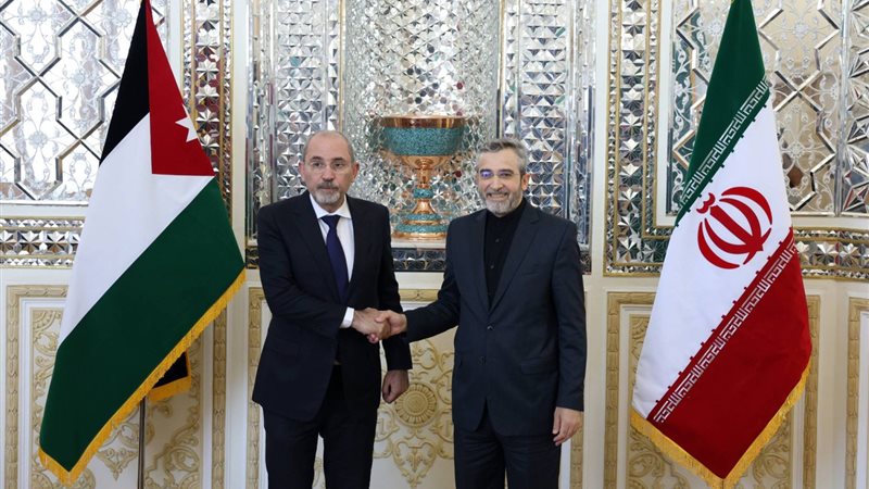 الصفدي في طهران،