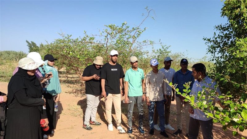 محطات مركز بحوث الصحراء