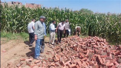 تنفيذ إزالة فورية لـ4 مقابر في الأراضي الزراعية بميت غمر بالدقهلية (صور)