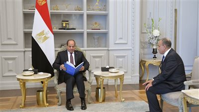 وزير الخارجية يستعرض أمام السيسي التقرير التنفيذي الثاني للاستراتيجية الوطنية لحقوق الإنسان