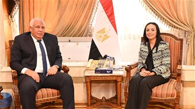 وزيرة التضامن تبحث مع محافظ الوادى الجديد سبل دعم مراكز التأهيل