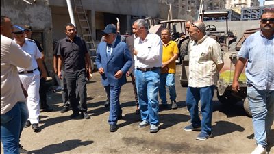 محافظ الدقهلية يكلف برفع الإشغالات ونشر صناديق القمامة بشوارع المنصورة (صور)