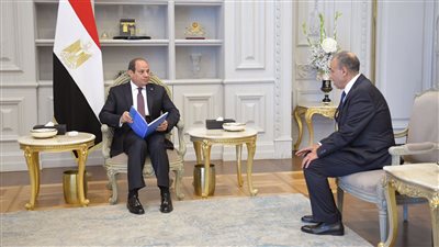 تكليفات رئاسية قوية لوزير الخارجية بشأن ملف حقوق الإنسان