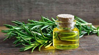 الروزماري، لصحة الدماغ وجمال البشرة والشعر