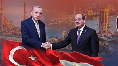 خبير يكشف دوافع ومآلات التقارب المصري التركي في الفترة الأخيرة 