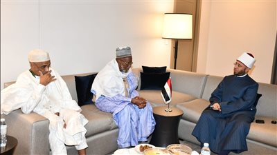 وزير الأوقاف يبحث تعزيز العلاقات المصرية الأفريقية.. لقاءات مع المسؤولين عن الشأن الديني في القارة السمراء لتكثيف التعاون العلمي وتبادل الخبرات.. والوزراء الأفارقة: مصر هي السند