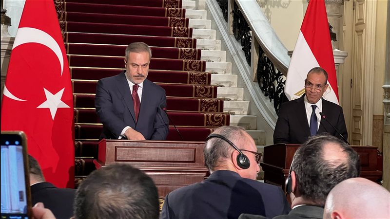 بدر عبد العاطى وزير