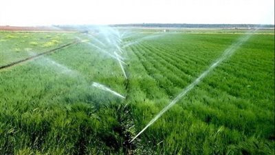 الشيوخ يناقش اليوم تقرير بشأن الري الحديث، وهذه أبرز التوصيات