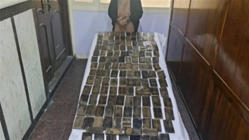 مخدر الحشيش 