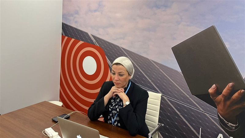 الدكتورة ياسمين فؤاد