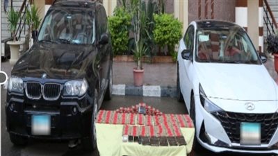 ضبط 250 طربة حشيش بحوزة تشكيل عصابي بالجيزة