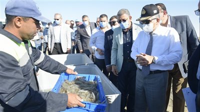 أسامة ربيع يتفقد معدية القنطرة وشركة قناة السويس للاستزراع السمكي|صور 