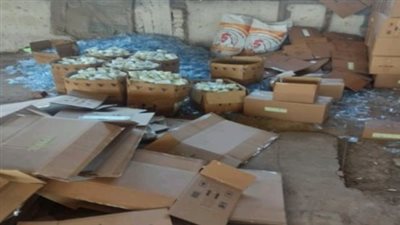 ضبط 192 ألف عبوة مبيد حشرى منتهية الصلاحية و129 طن مخلفات بلاستيكية داخل مصنعين