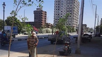 زراعة ٣٢٥ شجرة على الطرق الرئيسية والشوارع وأمام المدارس بأخميم بسوهاج 