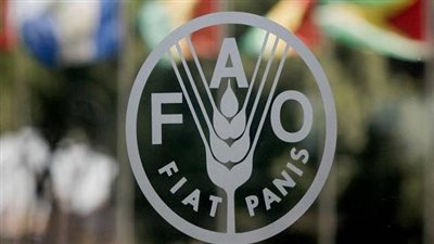 الفاو: السكر يسجل أكبر انخفاض خلال الشهر الماضي