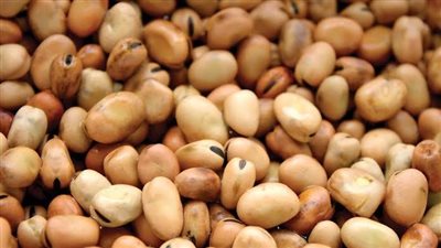 زيادات جديدة في أسعار الفول والطن يرتفع ألفي جنيه 