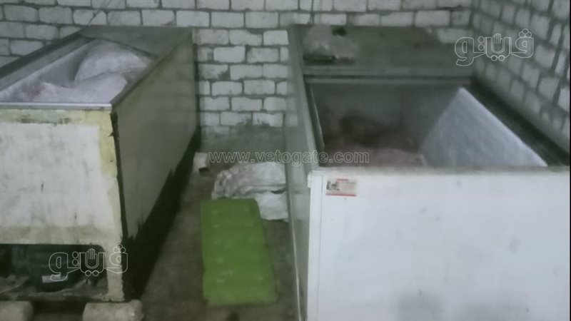 مزرعة الكلاب المضبوطة