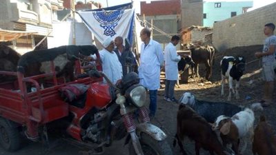 قافلة بيطرية بمركز الحسينية فى الشرقية 