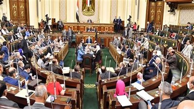 نائبة تطالب باستدعاء وزير التعليم بسبب صعوبة منهج رابعة ابتدائي