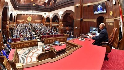 مجلس الشيوخ يقر تعريف المسن بمشروع القانون الجديد