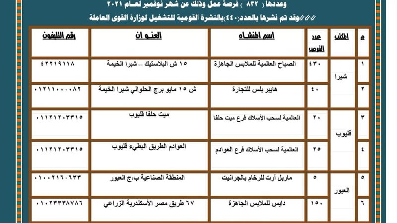القوي العاملة بالقليوبية