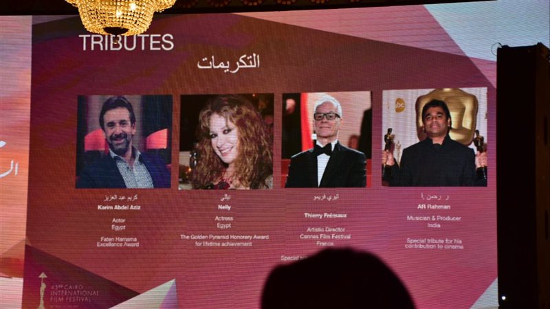 فعاليات مهرجان القاهرة