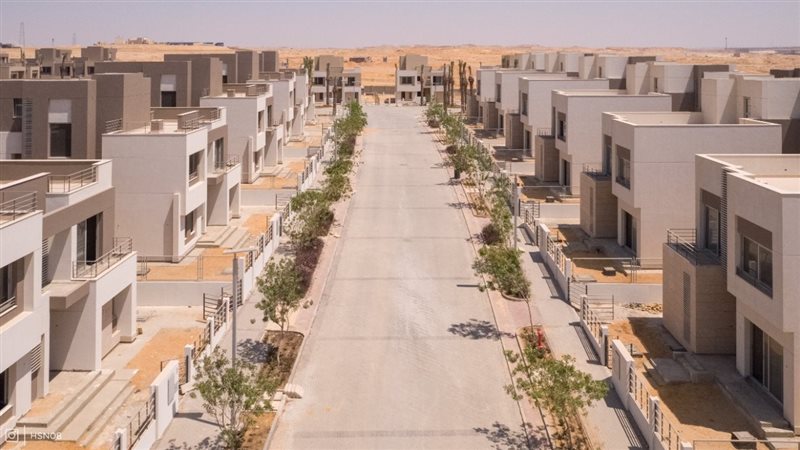 بالم هيلز 