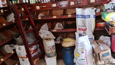 حملات صحية توصي بغلق 3 منشآت غذائية بالدقهلية 