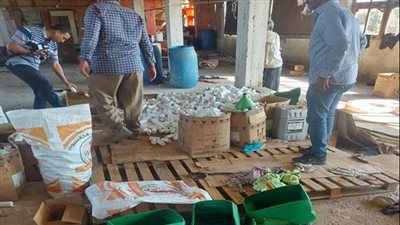 ضبط مصنع مبيدات داخل مزرعة دواجن بقليوب