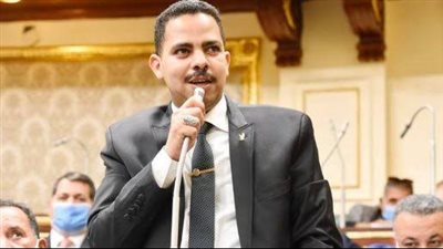 أمين عام مستقبل وطن: الأزهر والكنيسة نجحا في مواجهة دعاة الفتن