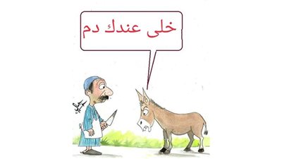 زيادة أسعار اللحوم البلدي