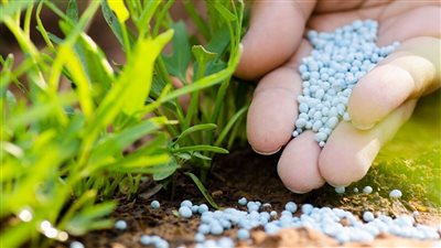 الحكومة تكشف حقيقة رفع الدعم عن الأسمدة بدءًا من الموسم الزراعي المقبل