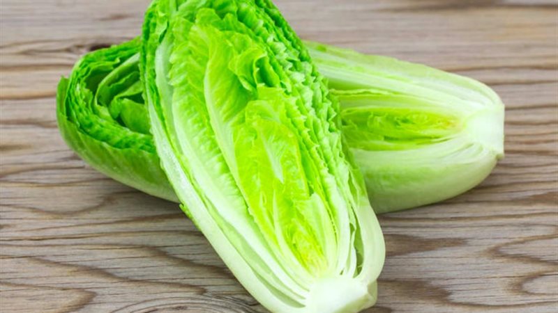 تفسير رؤية الخس في