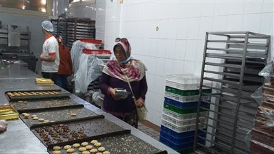 محافظة الإسكندرية: حملة مكبرة للرقابة والتفتيش على المصانع بالمنتزه