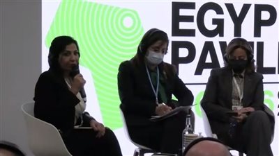 وزيرة التخطيط: نستهدف الحصول على 20% من الكهرباء من مصادر متجددة العام القادم