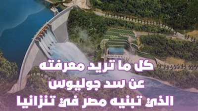 صنع بأيدي مصرية، كل ما تريد معرفته عن سد ومحطة جوليوس نيريري التنزاني (إنفوجراف)