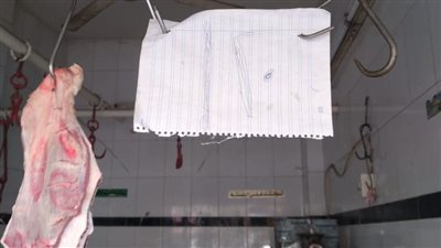 تموين الفيوم يحرر ٨٠ مخالفة لمحال الجزارة غير الملتزمة بالتعليمات | صور