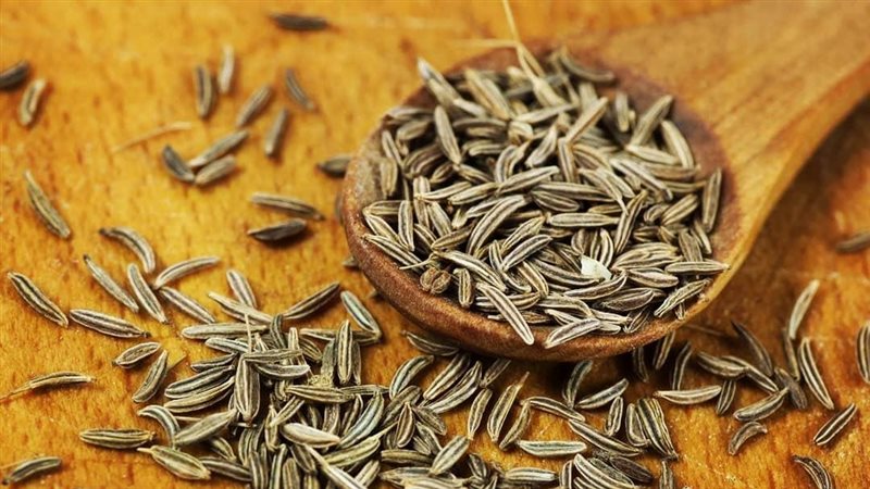 تفسير حلم الكمون