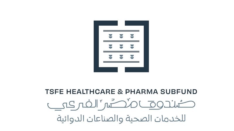 صندوق مصر للخدمات