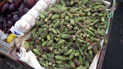  أسعار الخضراوات اليوم، البامية تتراجع 5 جنيهات في سوق العبور