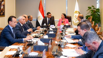 وزيرا الإسكان والبيئة يبحثان عددًا من ملفات العمل المشترك