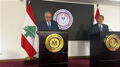 وزير خارجية لبنان: نقدر مساندة ودعم مصر للبنان 