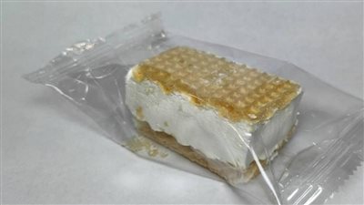 ابتكار نوع جديد من الأيس كريم غير قابل للذوبان