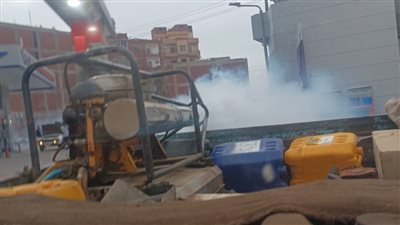 حملات لمكافحة الباعوض والذباب بمنيا القمح في الشرقية 