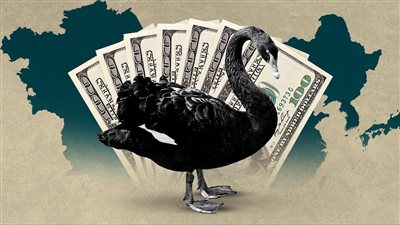 نظرية البجعة السوداء، ملاذ آمن أم خوارزميات تتحكم بمصير أموال المستثمرين؟.. خوف أصحاب رؤوس الأموال يدعم ازدهارها.. والربح من الكوارث غير المتوقعة أبرز المساوئ