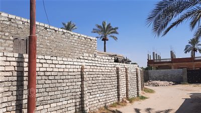 مفاجأة مثيرة في واقعة إنهاء حياة 4 أبناء على يد والدهم بالإسماعيلية (فيديو) 