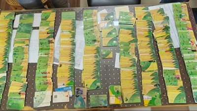 مديرية تموين الفيوم تتحفظ على 569 بطاقة ذكية بحوزة صاحبي مخبزين