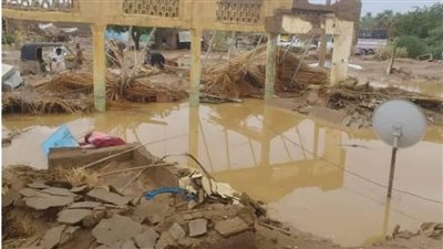 خبير يكشف عن تأثير كارثي لسيول أبو حمد بولاية نهر النيل السودانية القريبة من أسوان (صور)